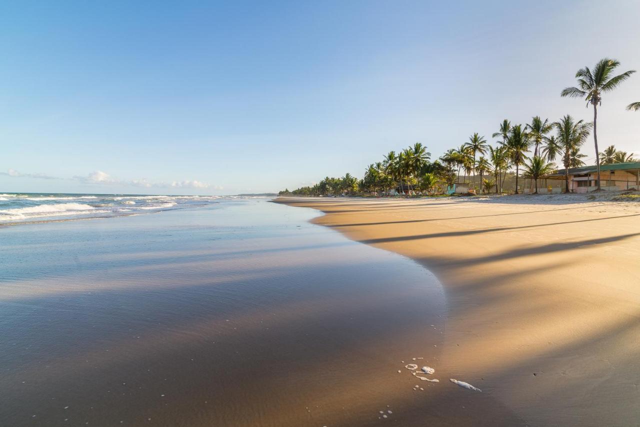Belissimo Apto A 500M Praias Do Sul 伊列乌斯 外观 照片